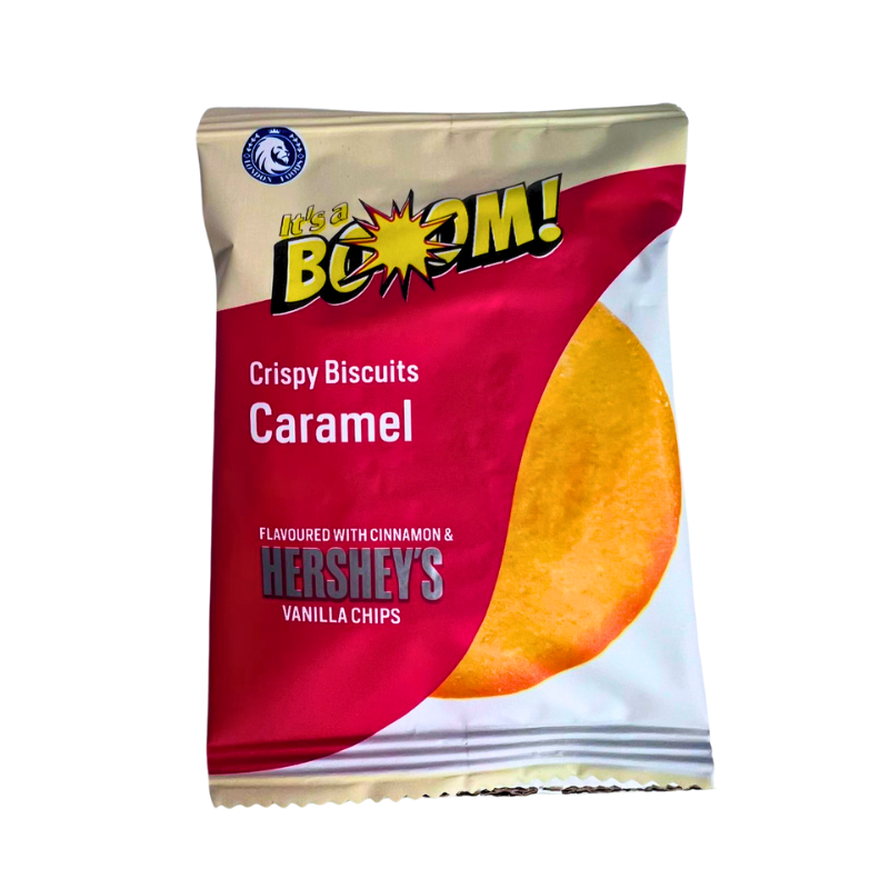 Hershey's Cookie Cinnamon 20g - My Candytown
